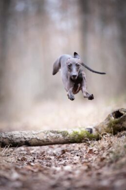 275281627_5239542669409639_2963318720806011593_n